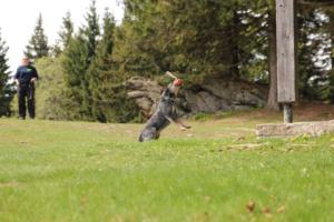 2018 Ausbildungswoche Arber